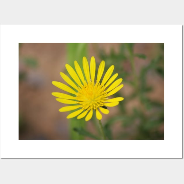 Yellow flower Wall Art by LitchiArt